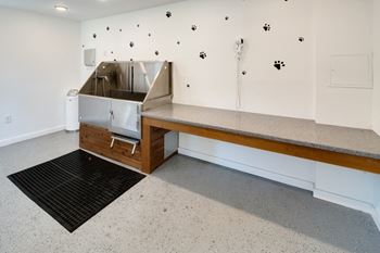 Pet washing station area with stainless steel tub